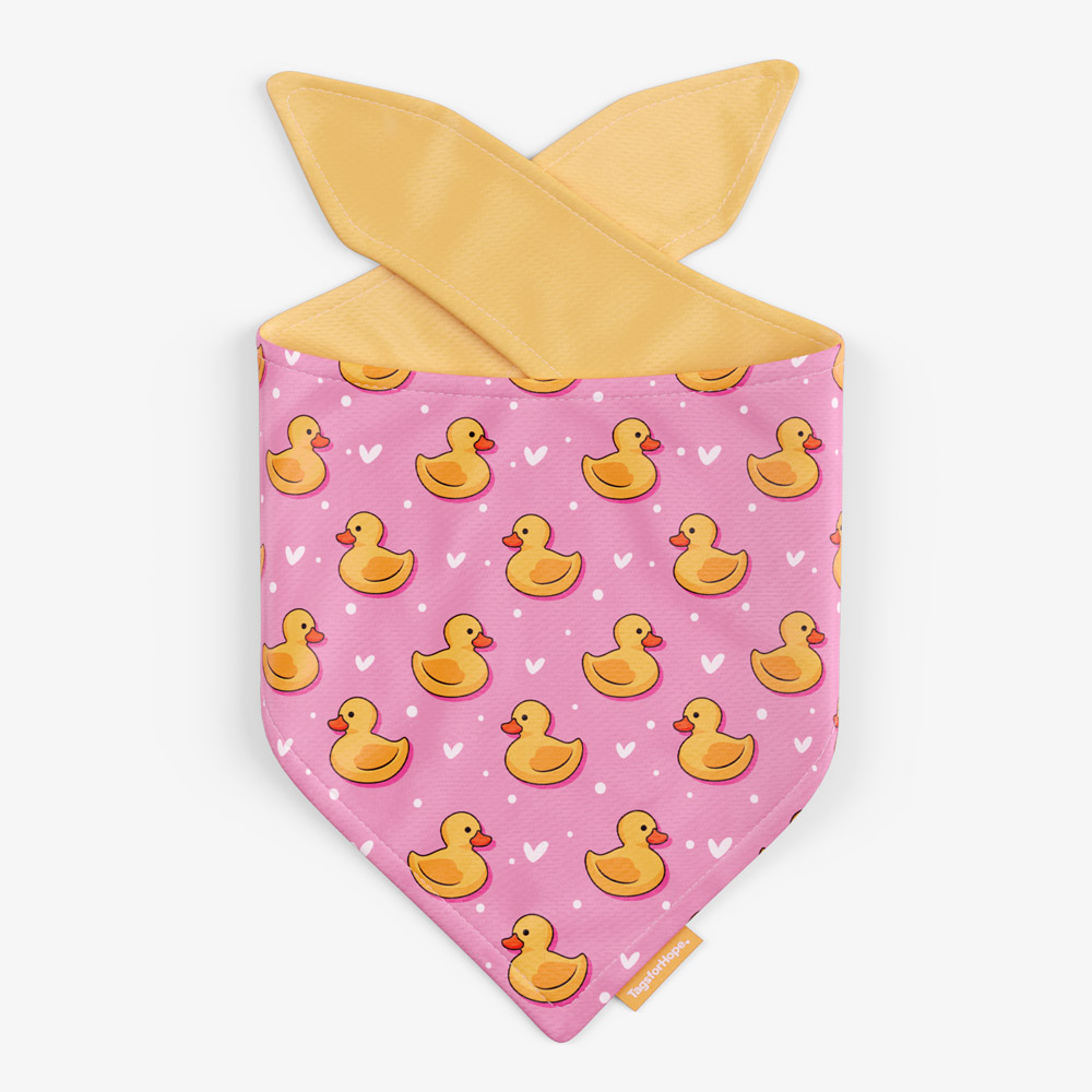 Little Duckies Trending