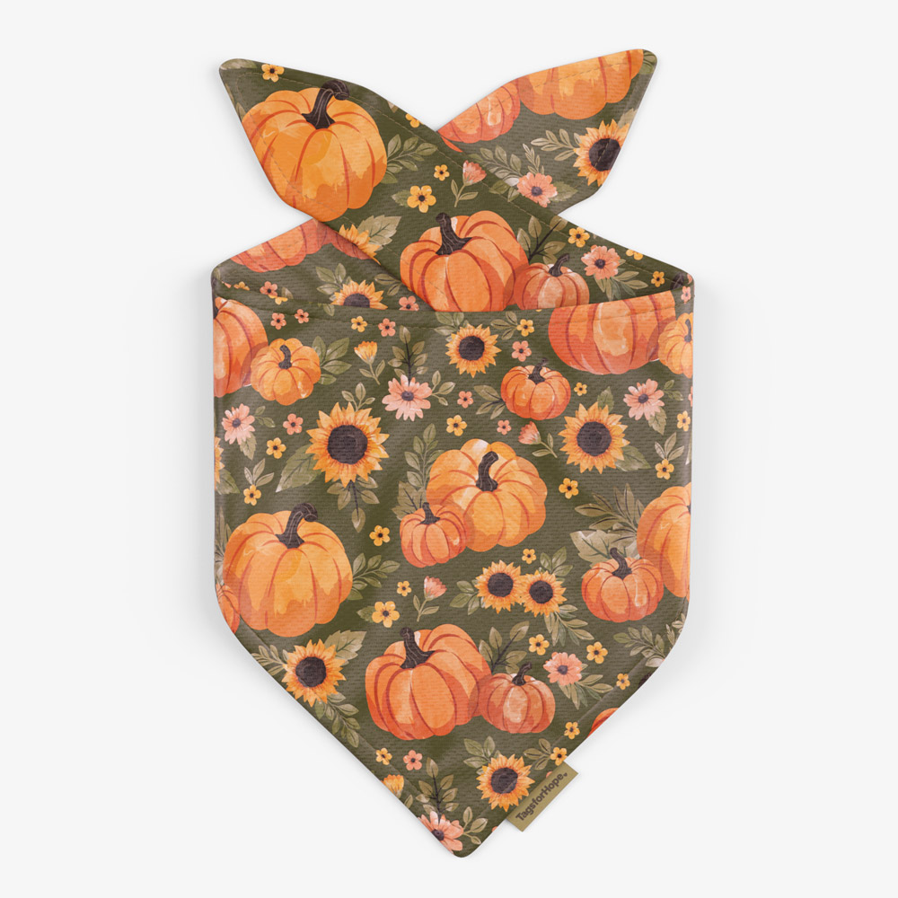 Pumpkin Patch Sage