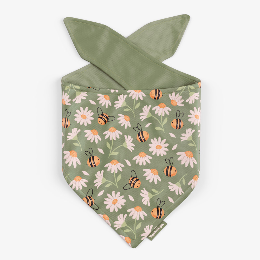 Sweet Daisies Sage Trending