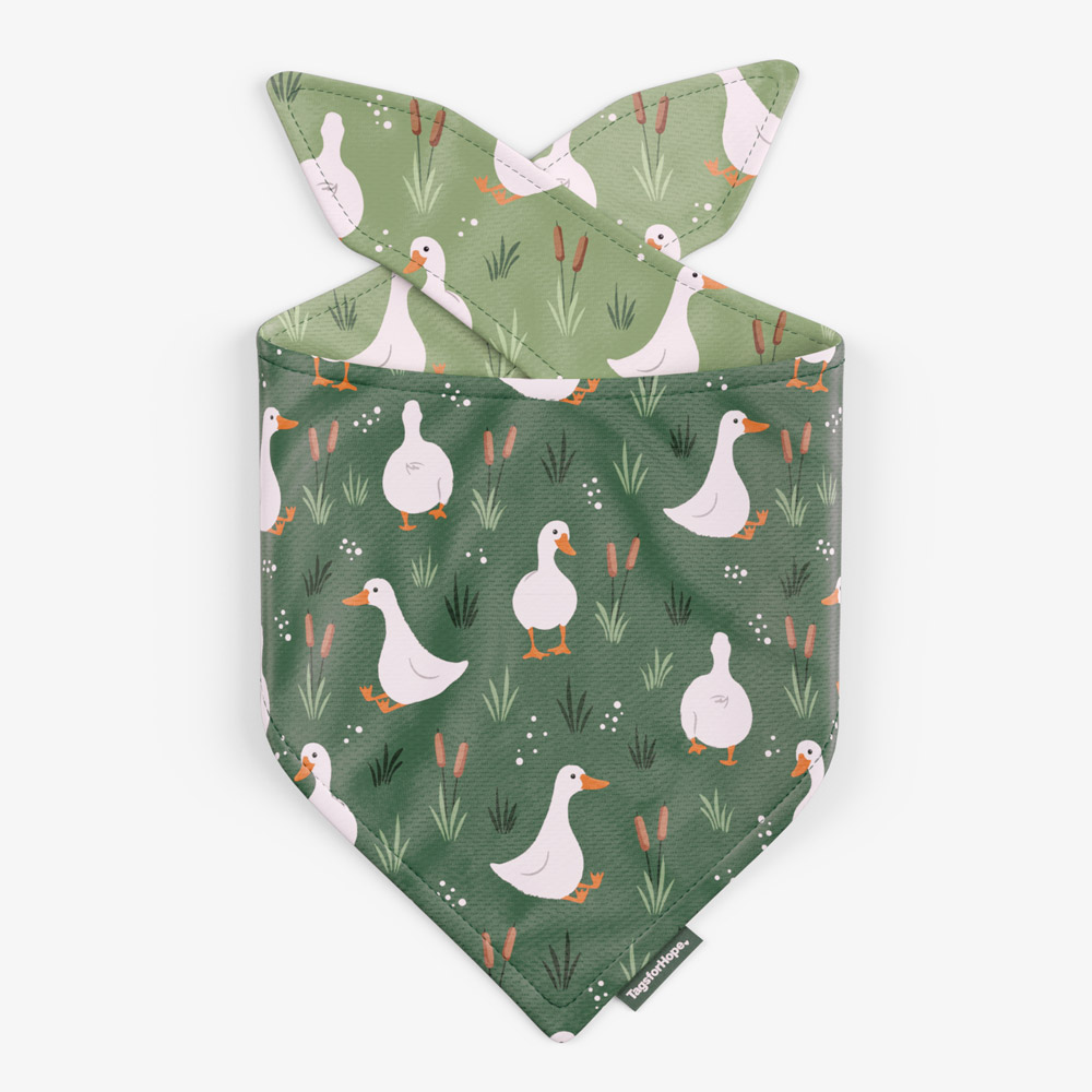 Silly Goose Trending
