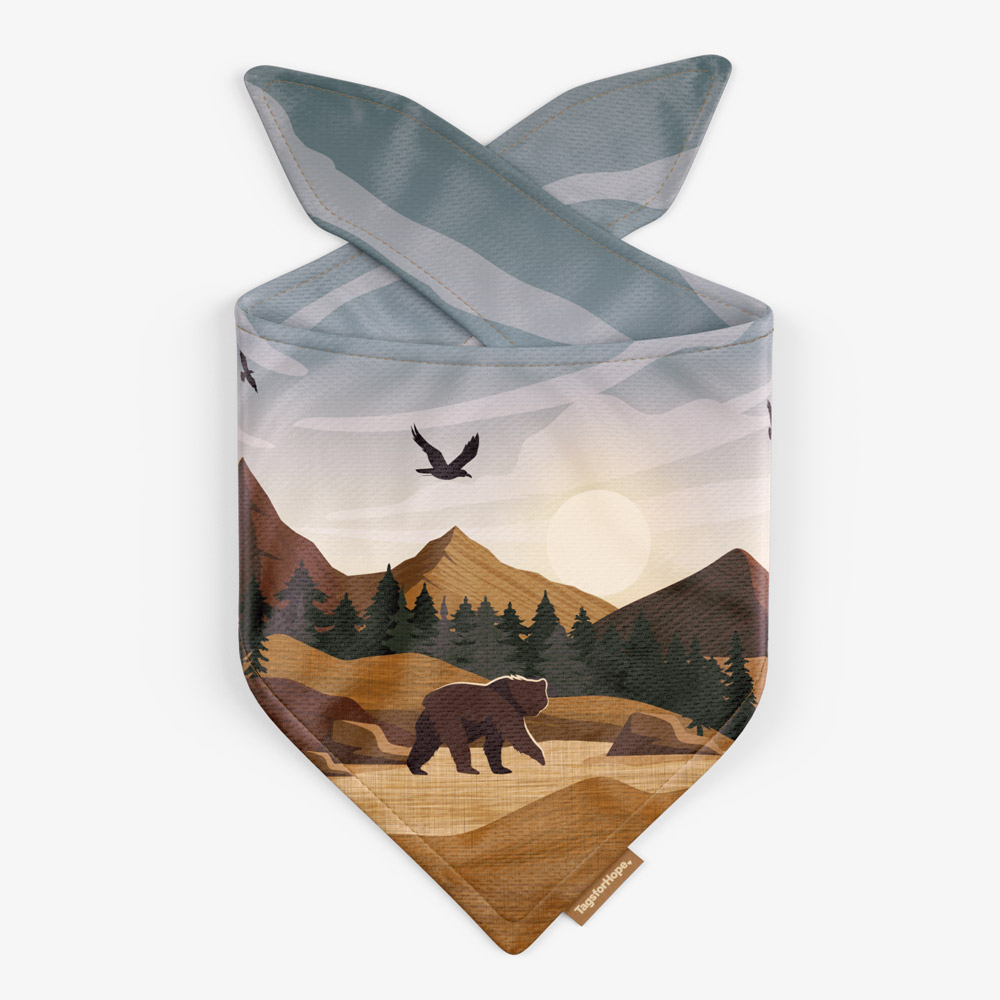 Bear Valley Trending