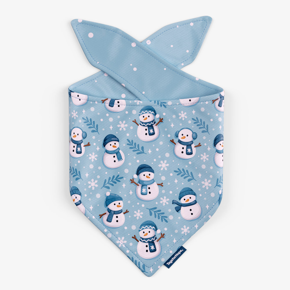 Frosty Friends Blue Trending