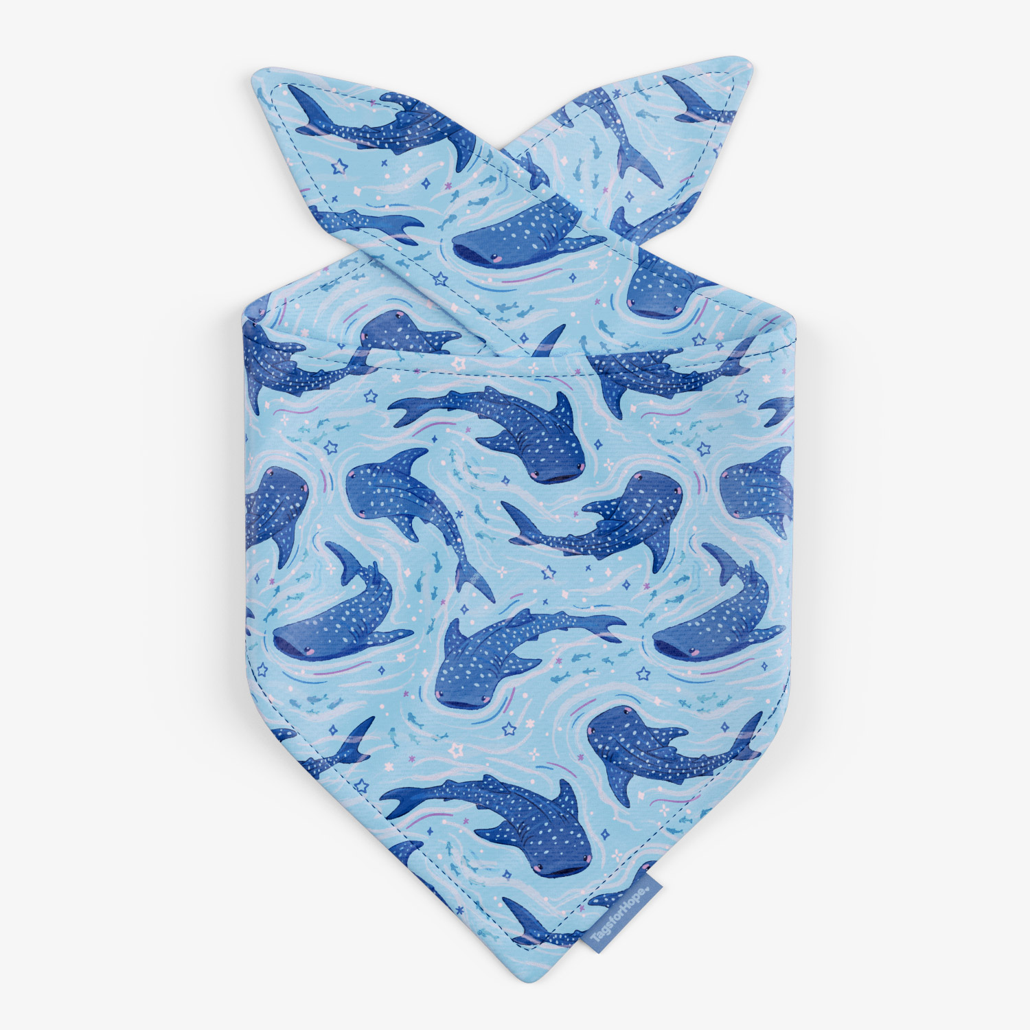 Whale Shark Wonder