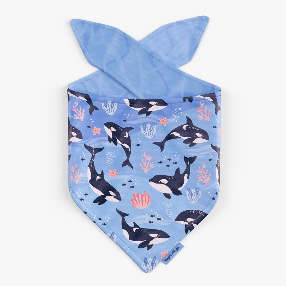Orca Oasis Trending