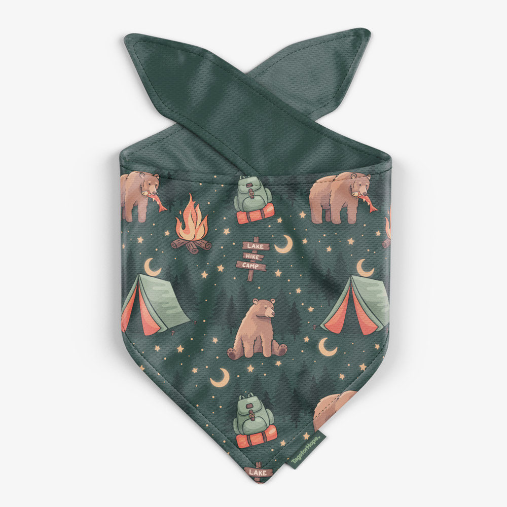 Bears & Bonfires Trending