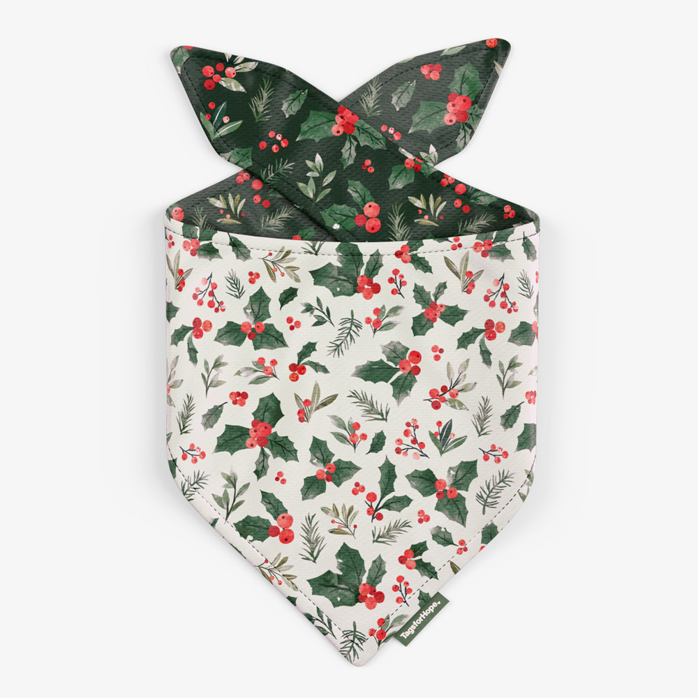 Winter Berry Trending