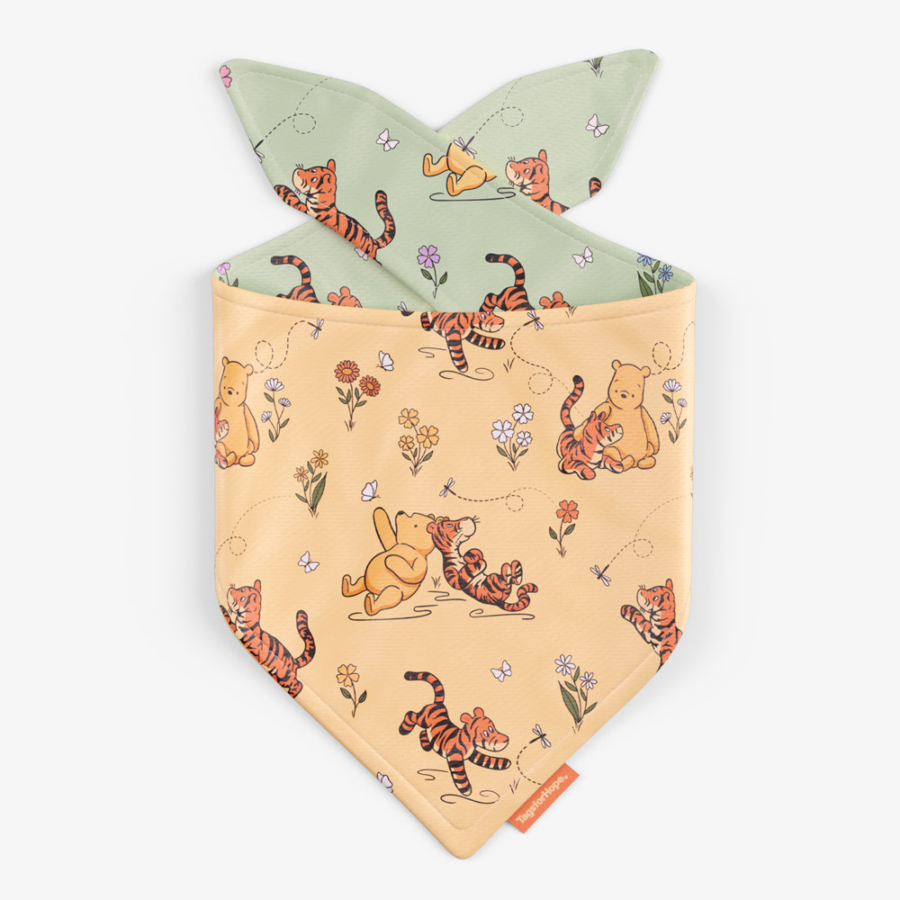 Tigger And Pooh Bear