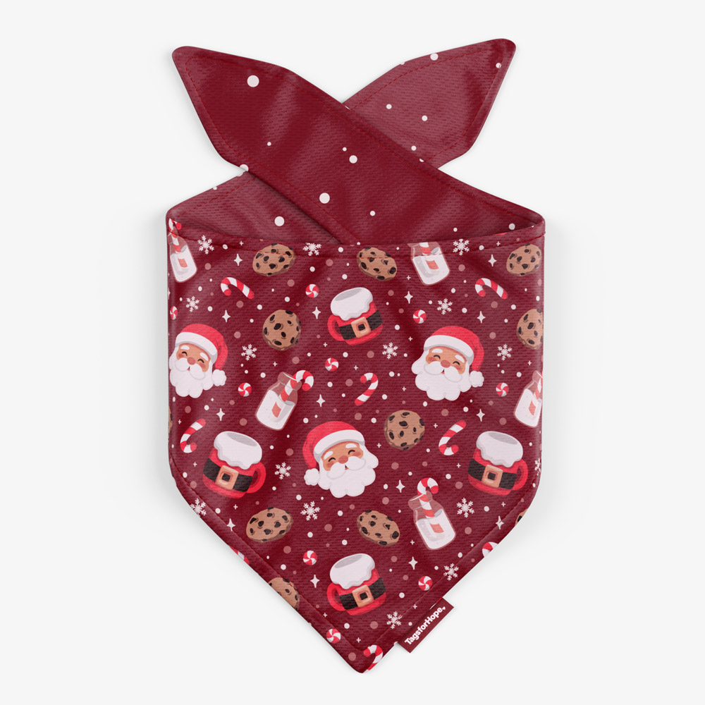 Dear Santa Crimson Trending