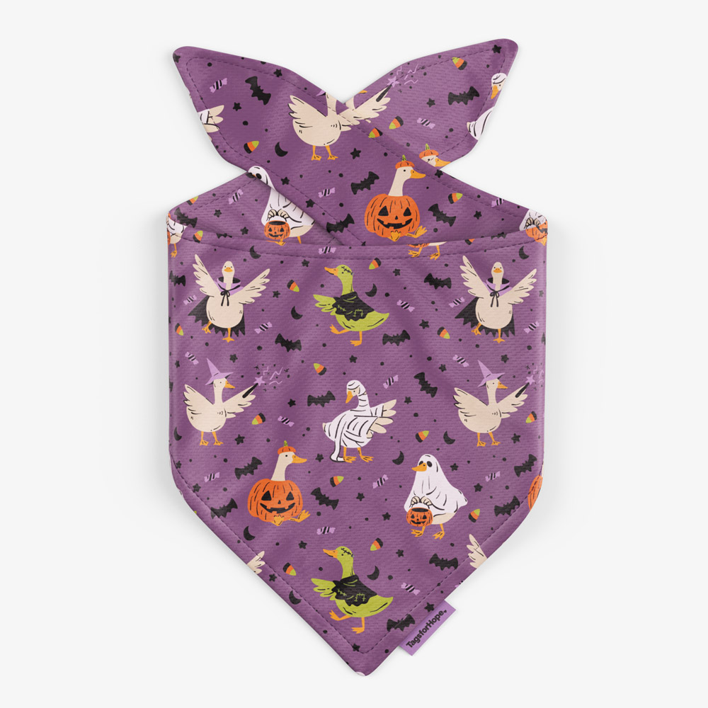 Spooky Goosie Purple