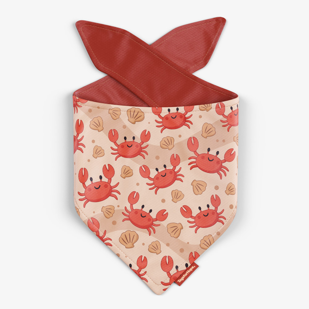 Cute but Crabby Trending