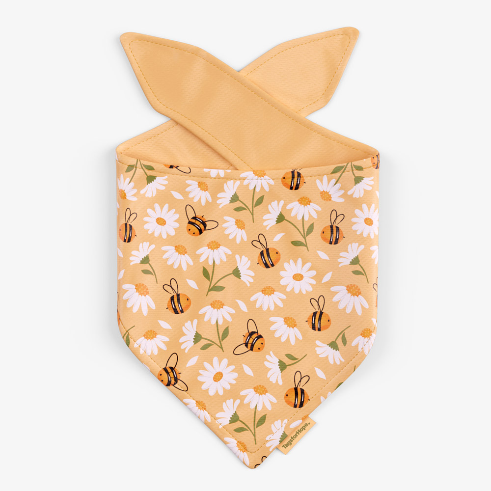 Sweet Daisies Yellow Trending