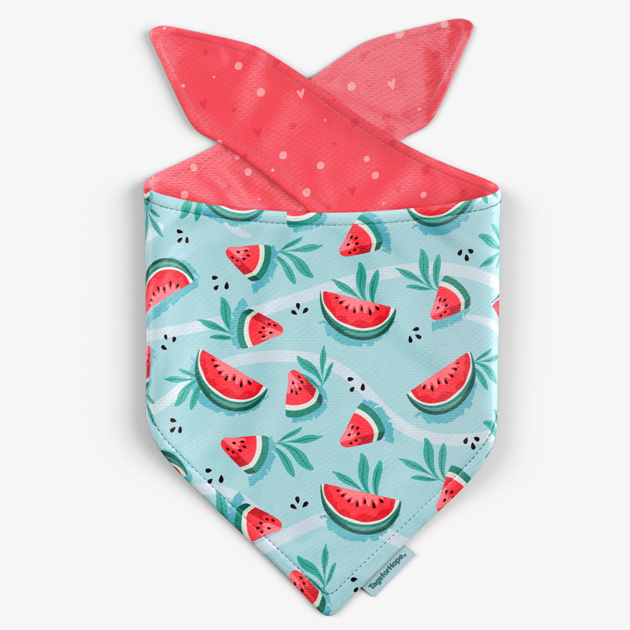 Watermelon Sugar Trending