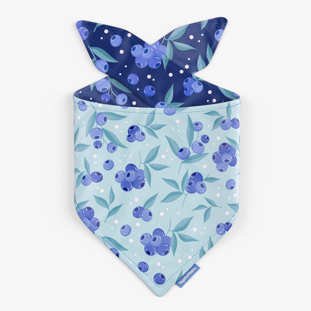 Blueberry Breeze Trending