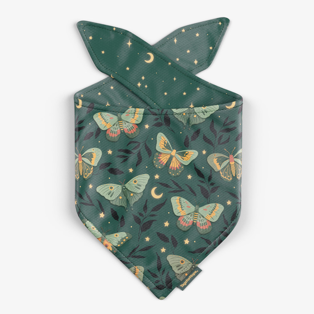 Midnight Moths