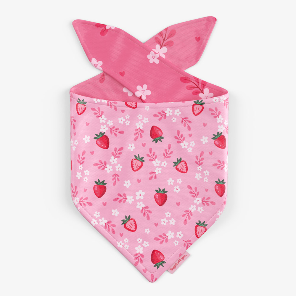 Strawberry Sweetheart Trending