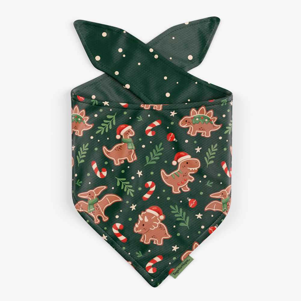 Dino Cookies Trending