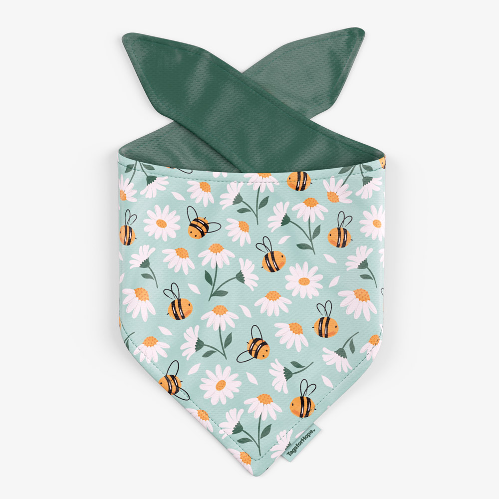Sweet Daisies Teal Trending
