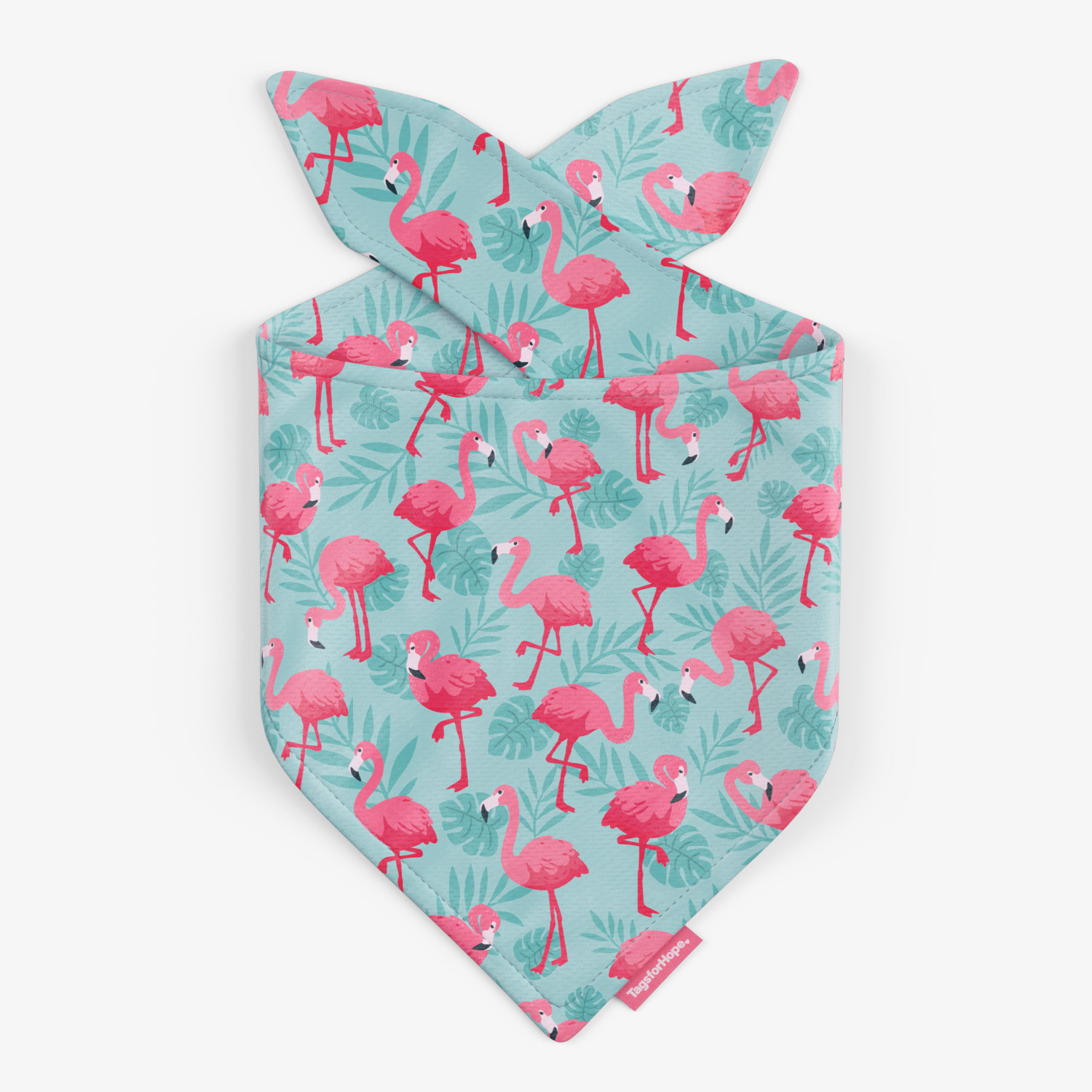 Flamingo Fiesta