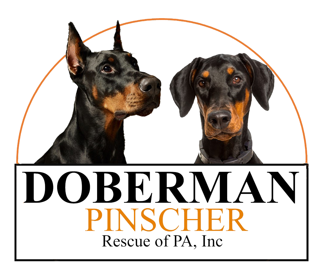 Doberman Pinscher Rescue of PA, Inc. logo
