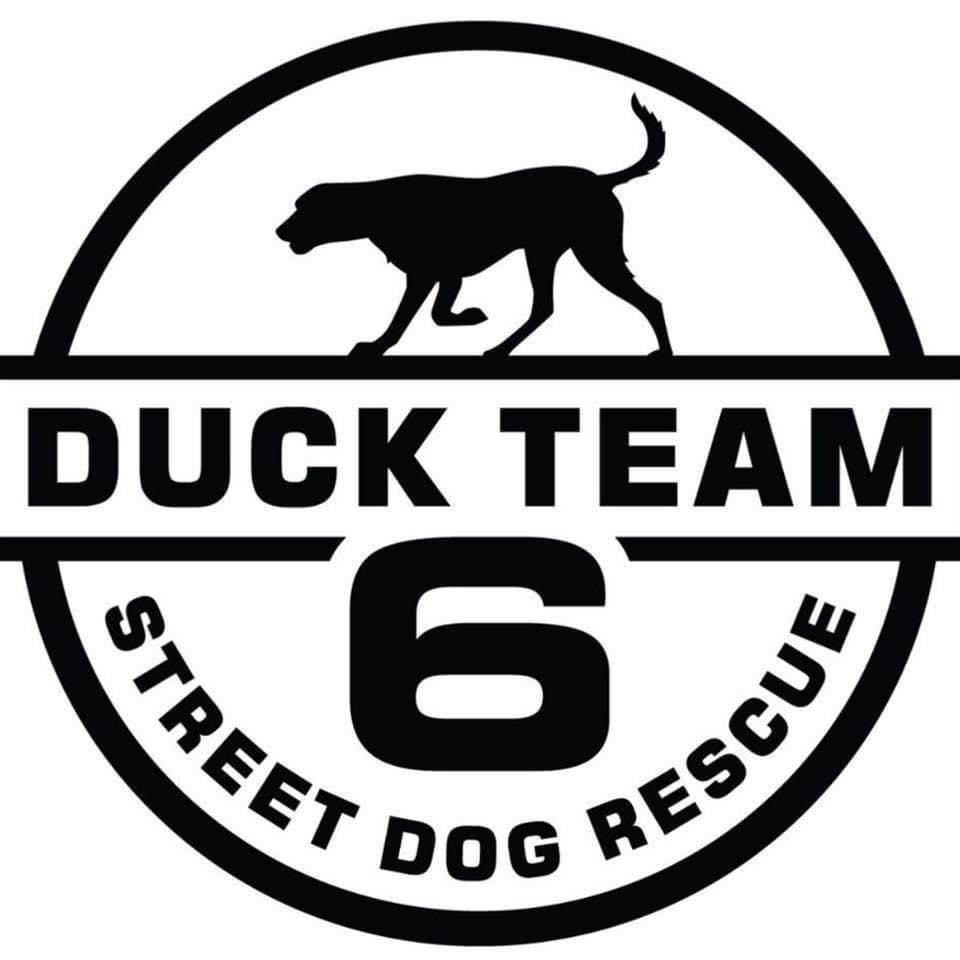 Duck Team 6 logo