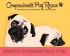 Compassionate Pug Rescue logo