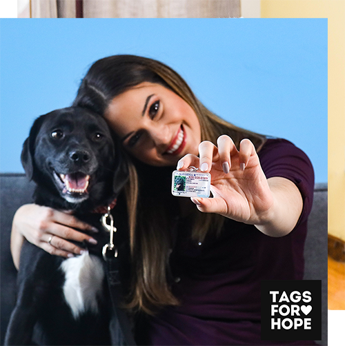 Tags for hope dog tags online