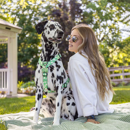 Image of a dog showing off TagsforHope products