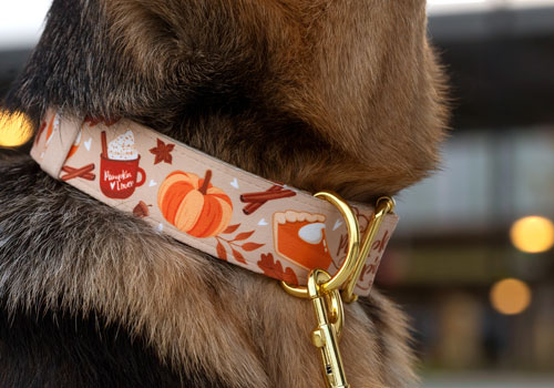 Preview of a dog collar