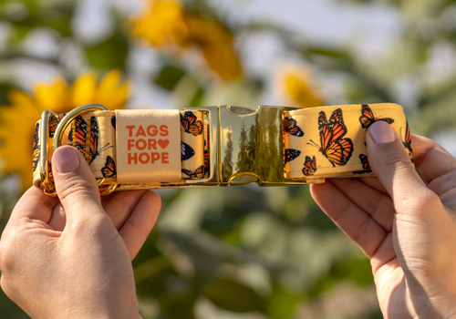 Preview of a dog collar