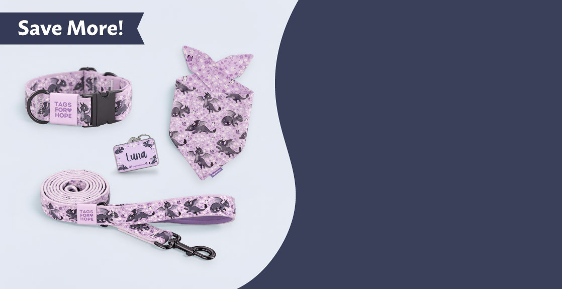 Matching purple dragon collar, ID tag, bandana and leash