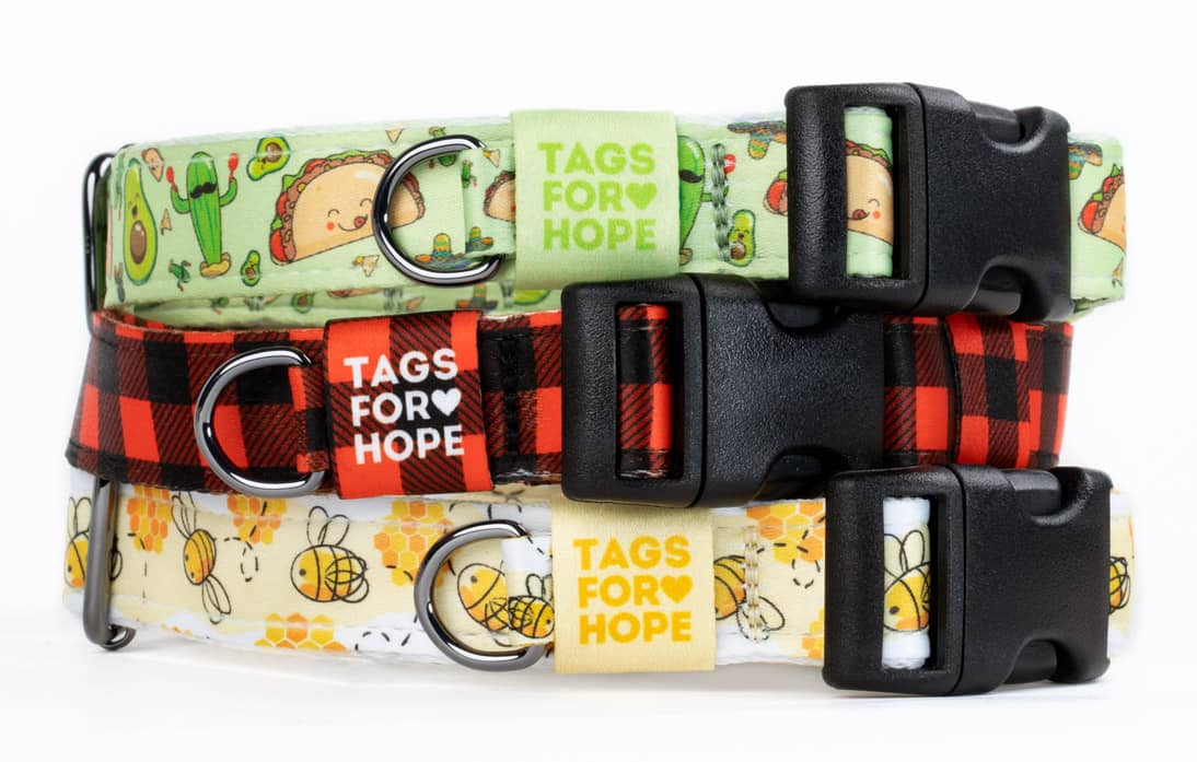 tags for your dog