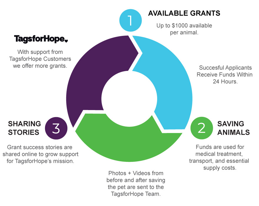 Image summarizing the points above in visual form regarding how the TagsforHope program operates.
