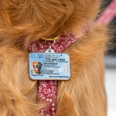Dog tag for harness top