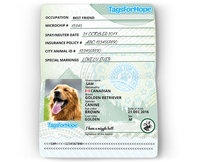 Tagsforhope Personalized Pet Id Tags For Dogs Cats