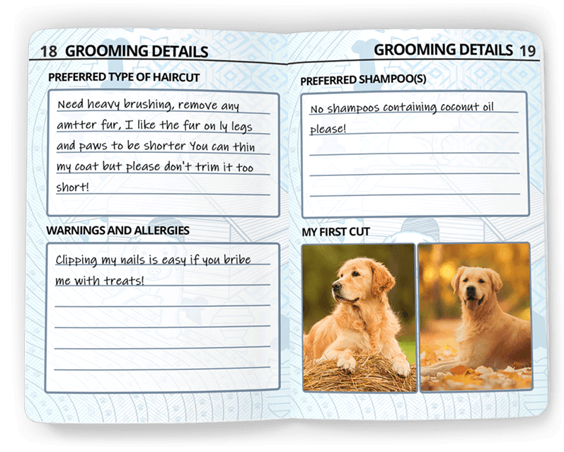 Tagsforhope Personalized Pet Id Tags For Dogs Cats