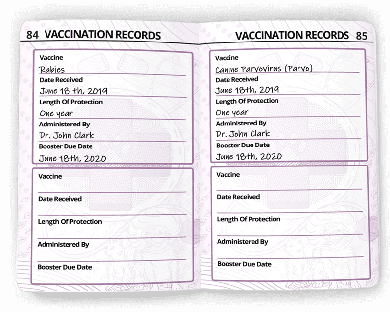 Fake Cat Vaccination Records cuteconservative