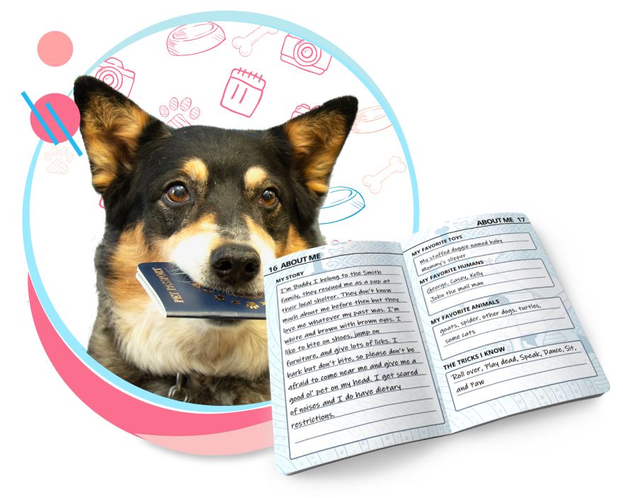 Tagsforhope Personalized Pet Id Tags For Dogs Cats