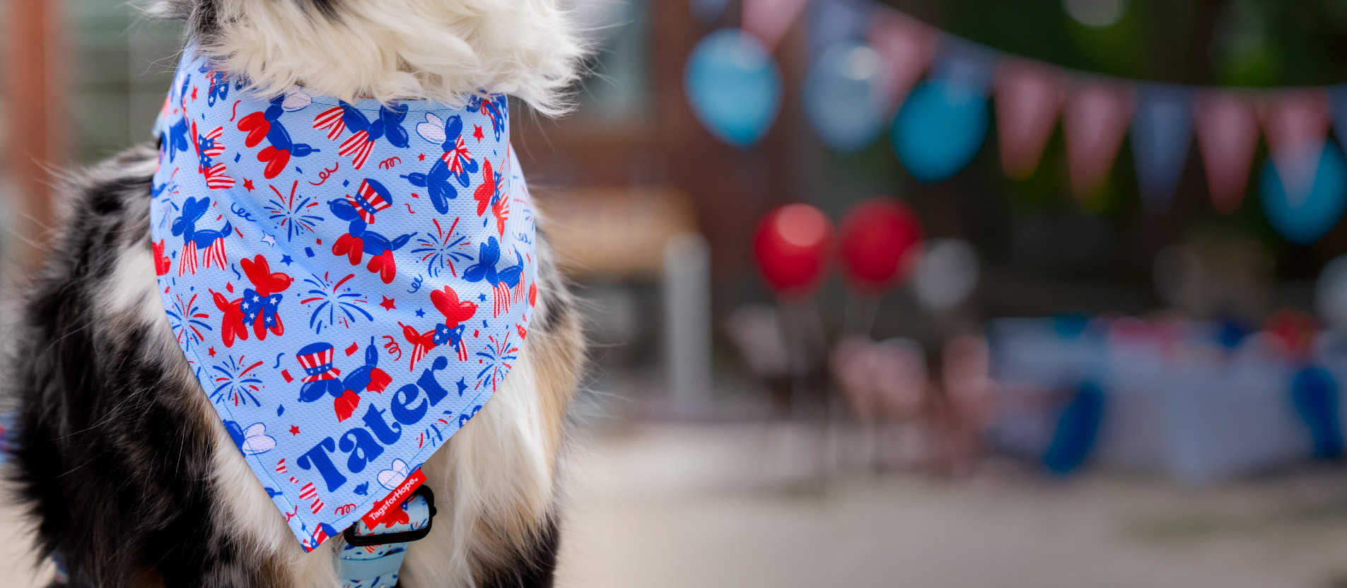 Let's pawty in the USA — patriotic bandana collection banner