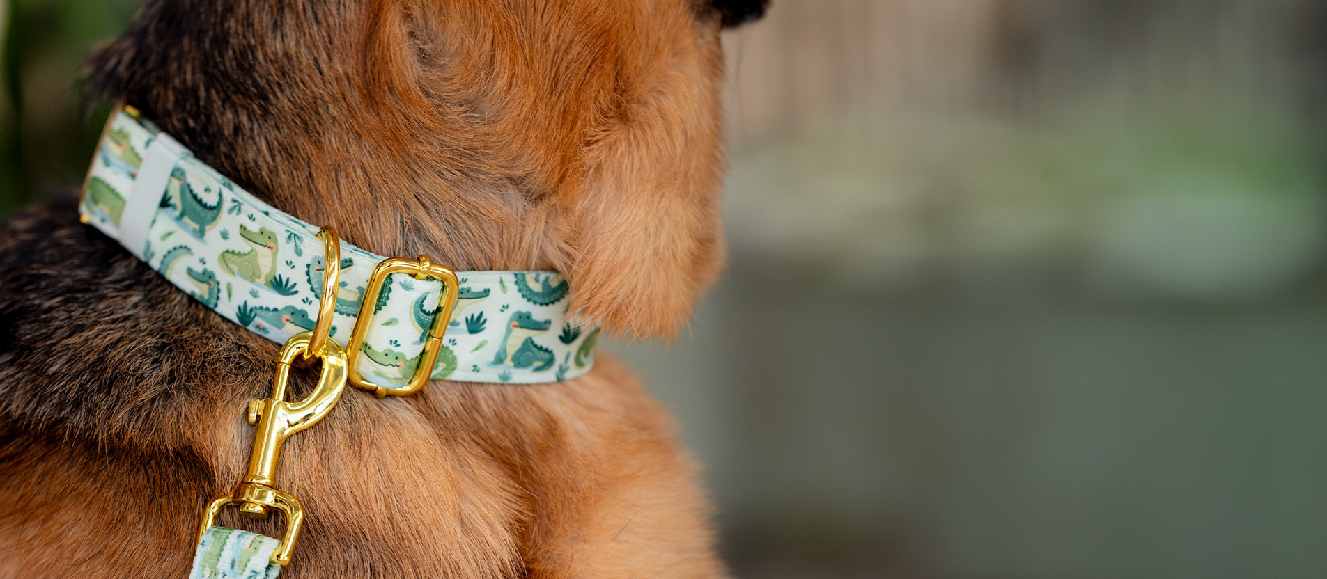 Spring 2026 collection banner