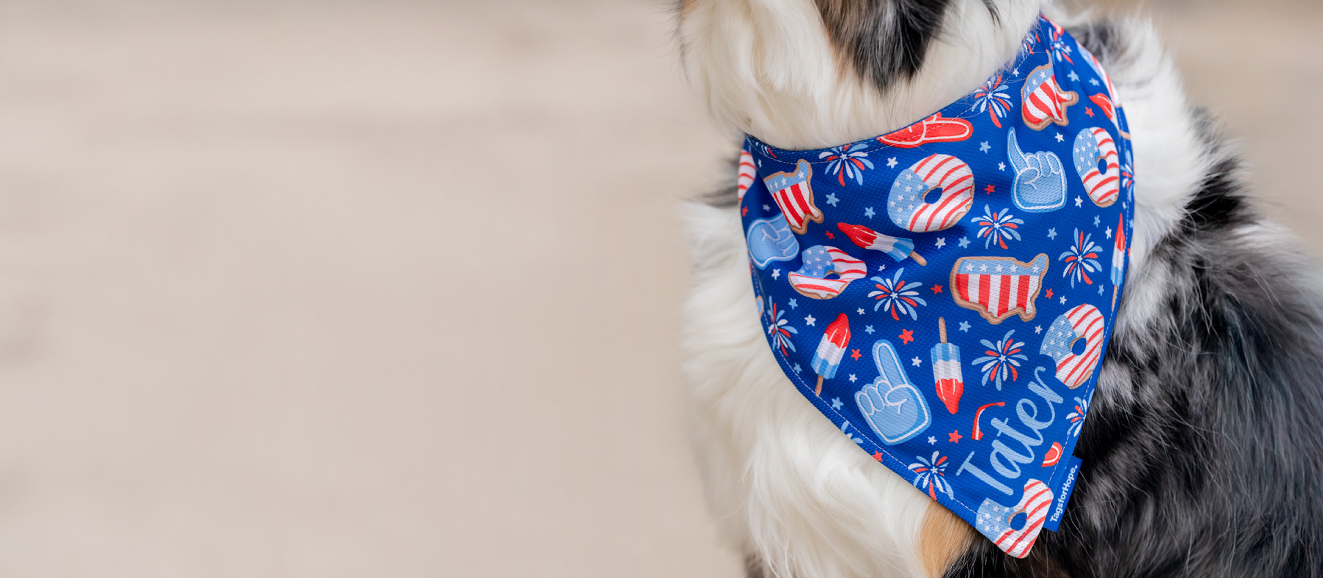 patriotic banner