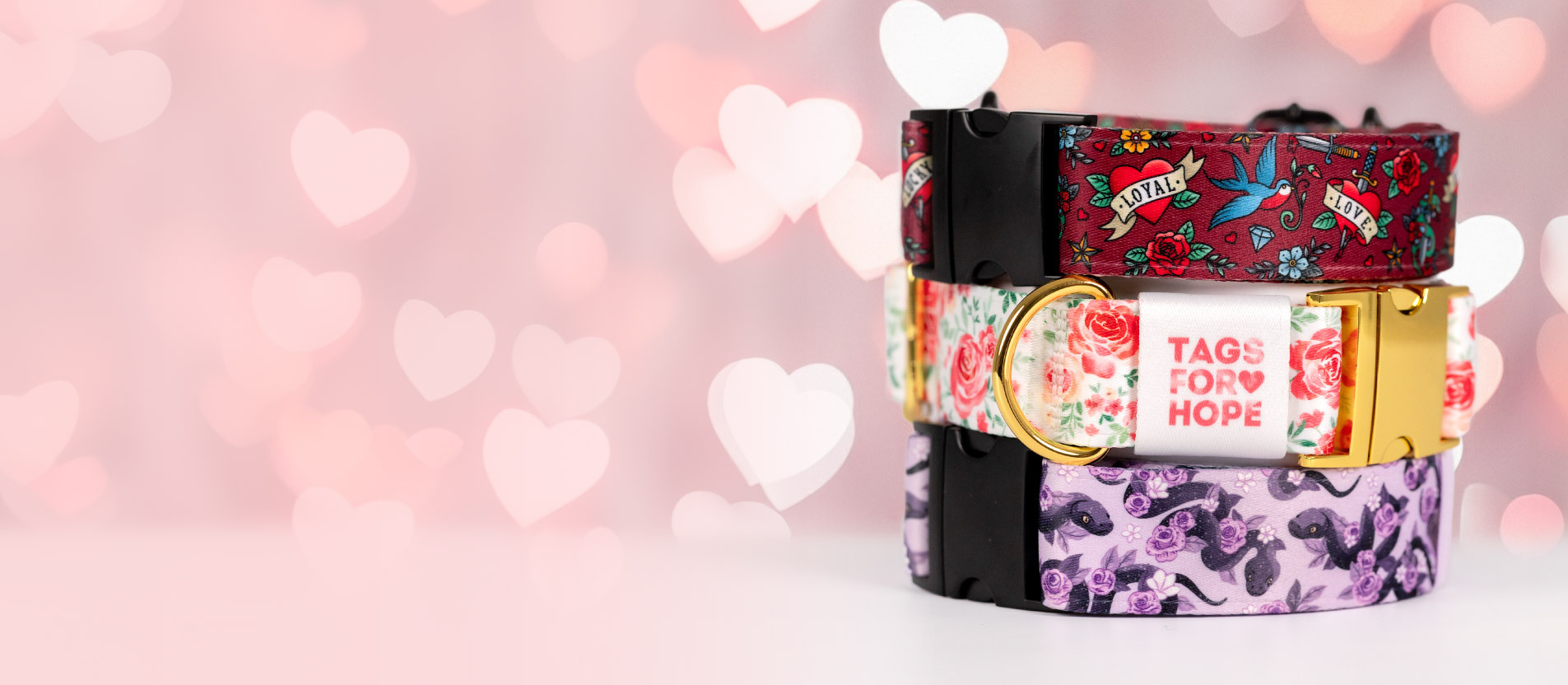 Black Friday 2025 collar and leash collection