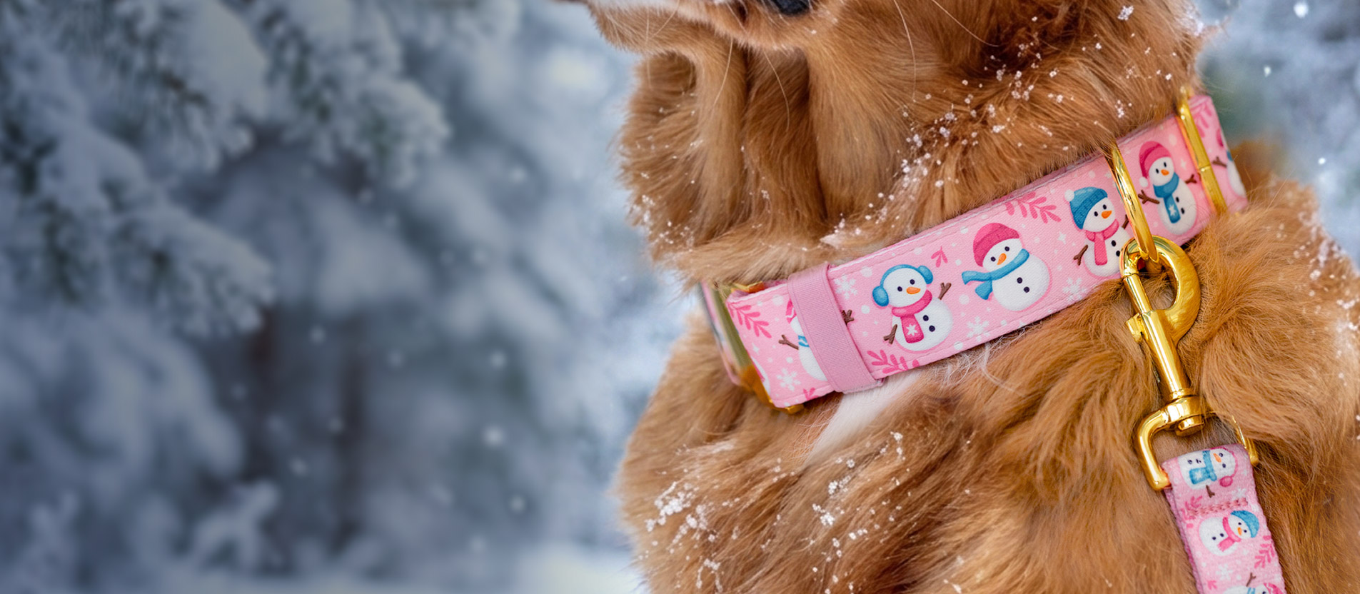 Black Friday 2025 collection banner