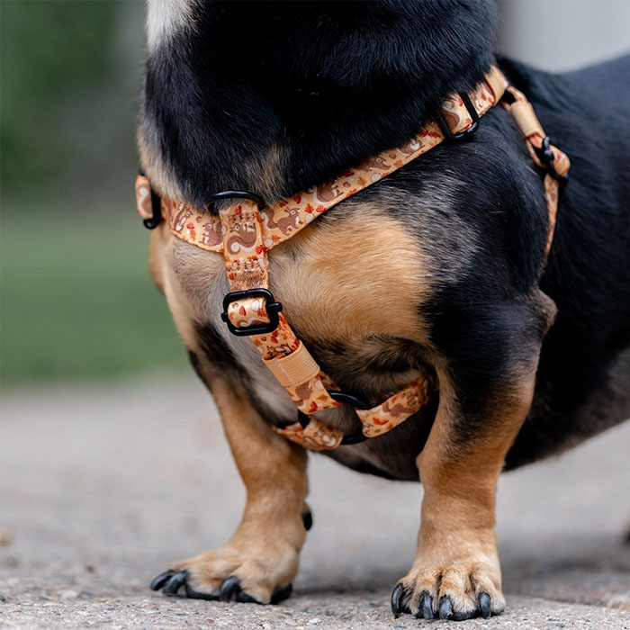 Silly Goose - Easy-On™ Harness