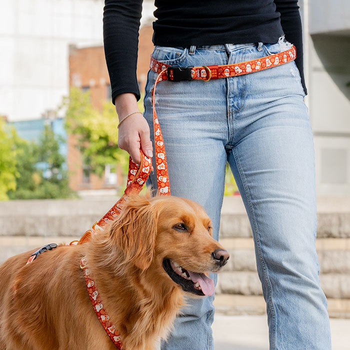Autumn Dragon - Dog Leash