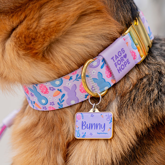 Product Designer TagsforHope Official Store Your Pet