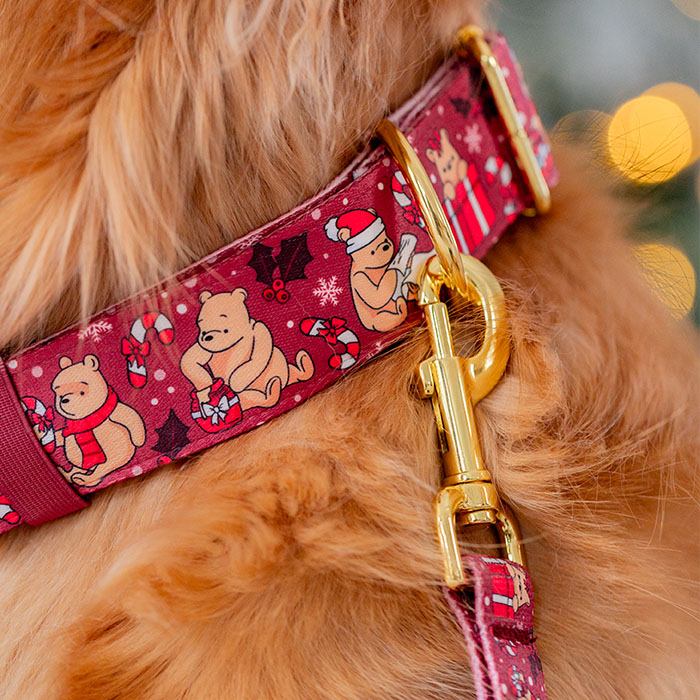 Tigger dog collar new arrivals