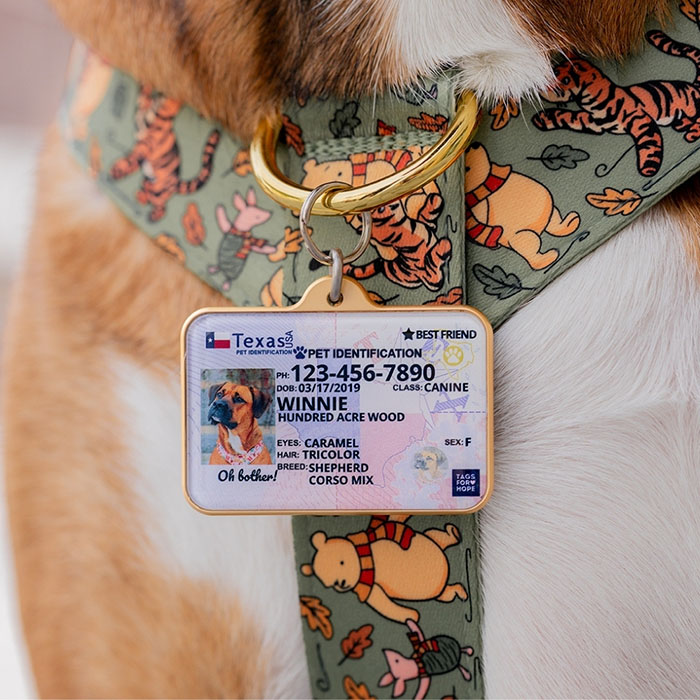 Dog collars with tags built in hot sale