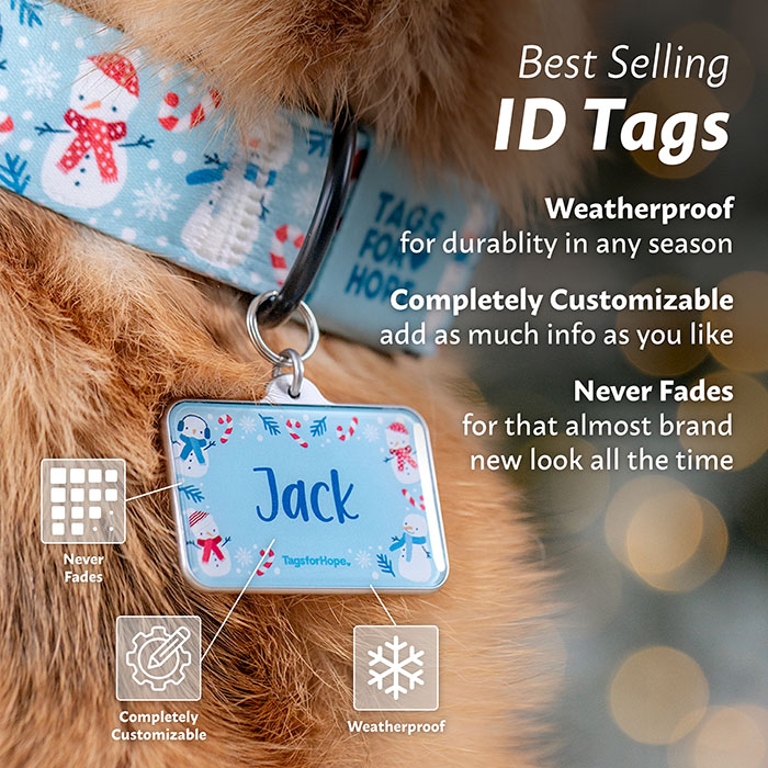 Pet id tags afterpay outlet