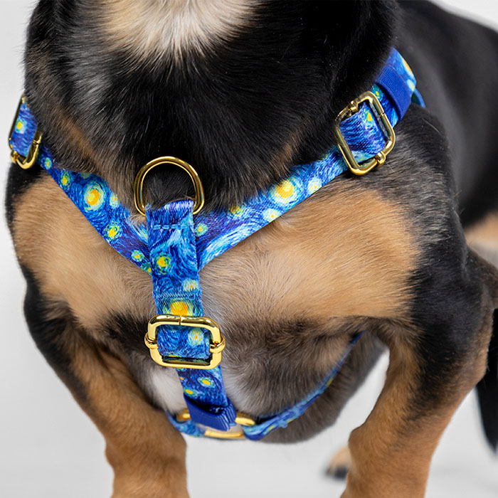 Silly Goose Teal - Easy-On™ Harness
