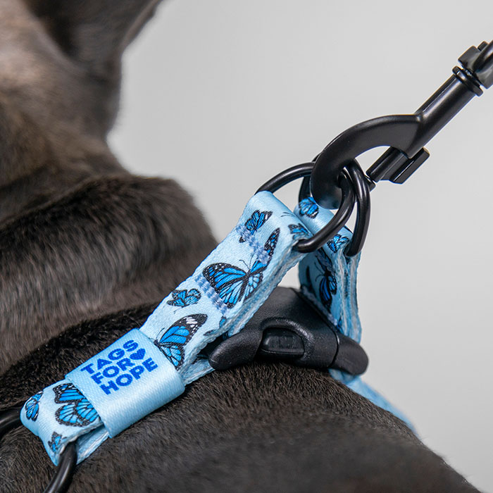 Silly Goose - Easy-On™ Harness